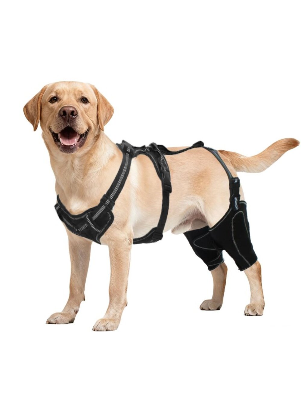 Chirarra Large Dog Harness Knee Brace Rear Hind Leg, Adj. Splint Support